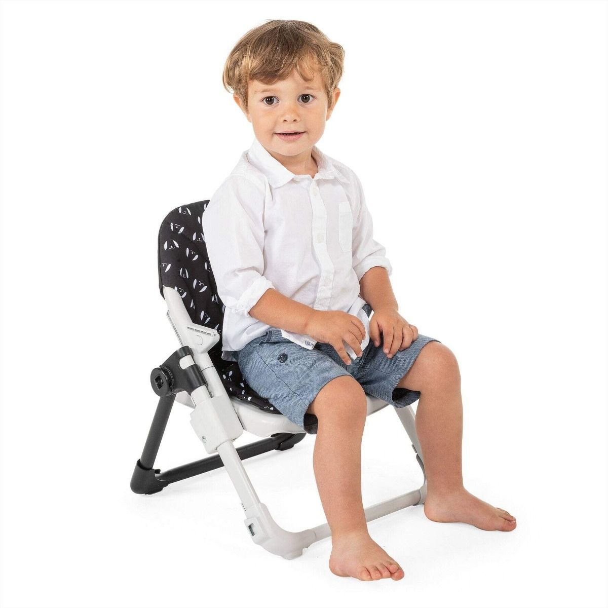 Chicco Chairy Booster Seat