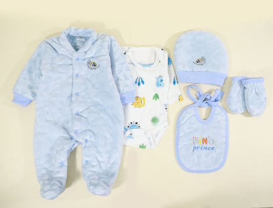 Newborn winter set