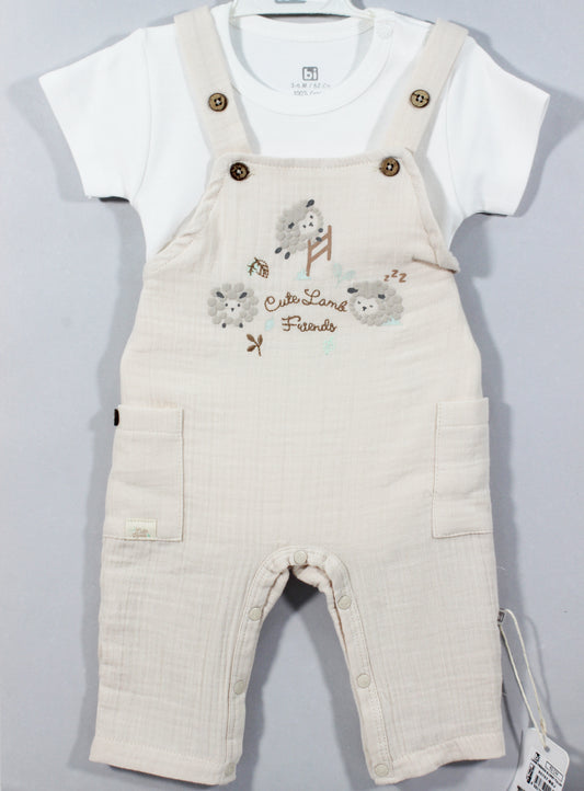 Baby overall